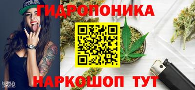 ГАЛЛЮЦИНОГЕННЫЕ ГРИБЫ Будённовск