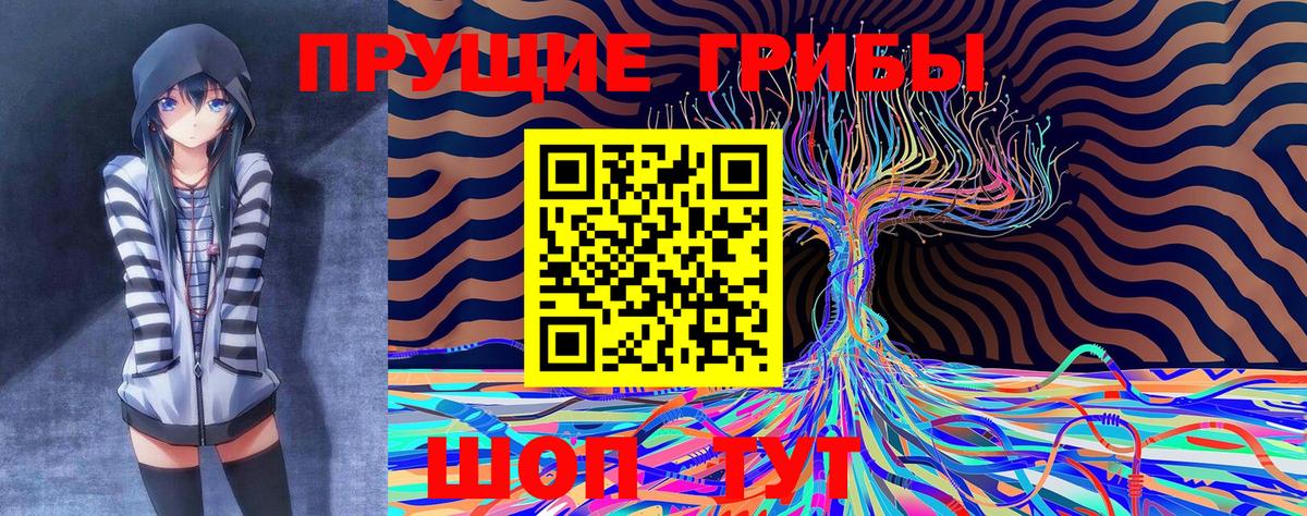 Галлюциногенные грибы Psilocybine cubensis  Псилоцибиновые грибы Psilocybine cubensis  Озёры  Вход с VPN 